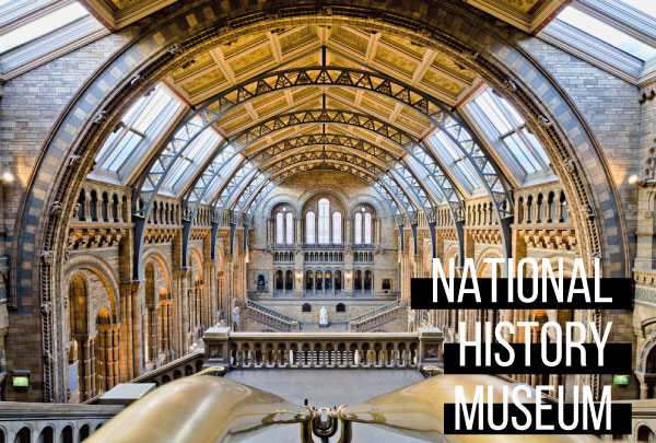 National History Museum London